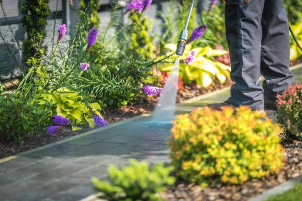 Best Dumpster Area Cleaning  in West, TX