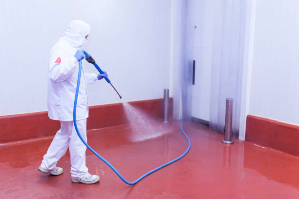 Best Spring Cleaning  in West, TX